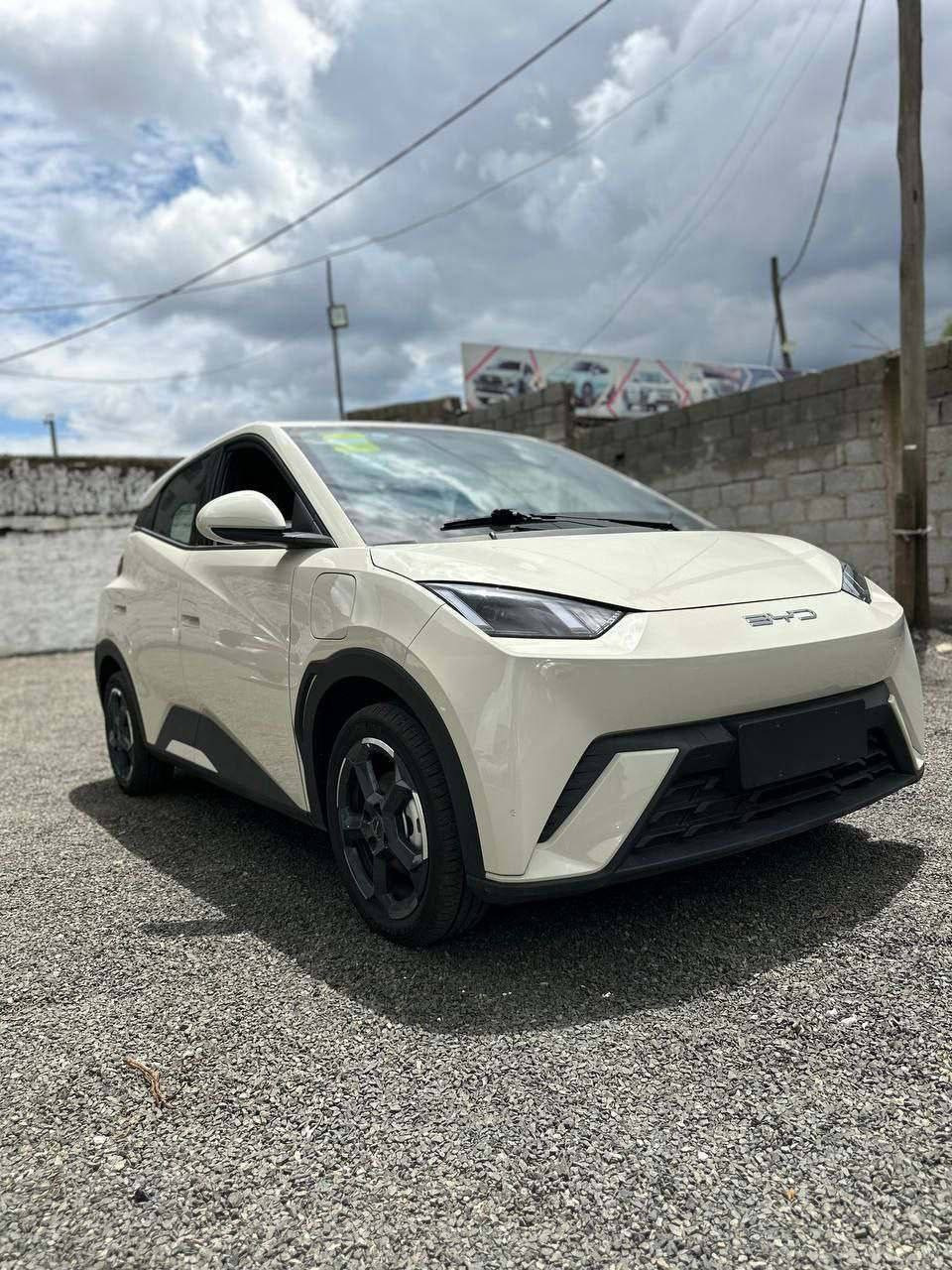 2024 BYD Seagull EV
