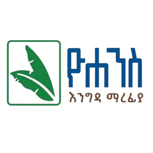 Partner 3